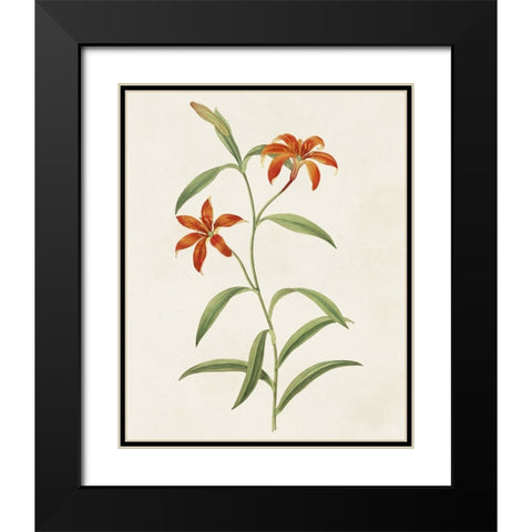 Flowers of the Seasons III Black Modern Wood Framed Art Print with Double Matting by Unknown