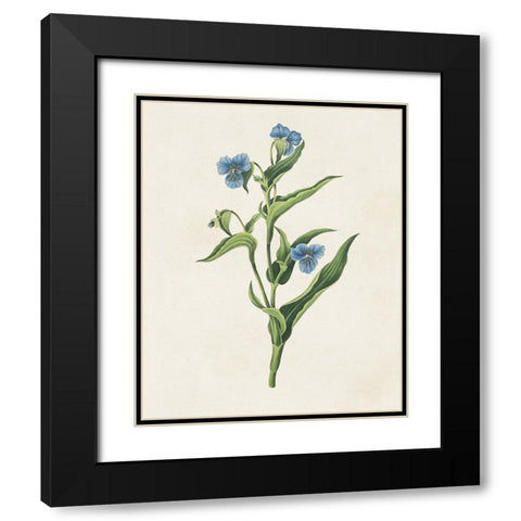 Flowers of the Seasons V Black Modern Wood Framed Art Print with Double Matting by Unknown