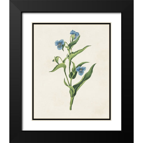 Flowers of the Seasons V Black Modern Wood Framed Art Print with Double Matting by Unknown