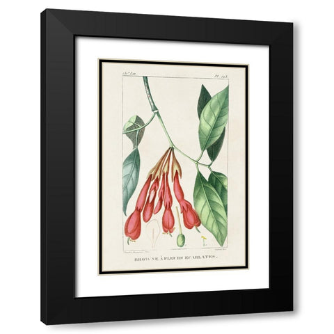 Turpin Tropical Botanicals I Black Modern Wood Framed Art Print with Double Matting by Turpin