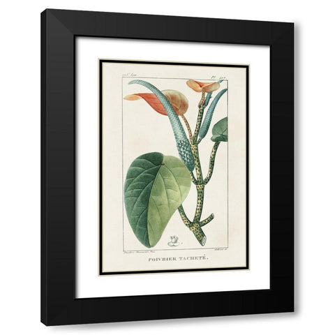 Turpin Tropical Botanicals II Black Modern Wood Framed Art Print with Double Matting by Turpin