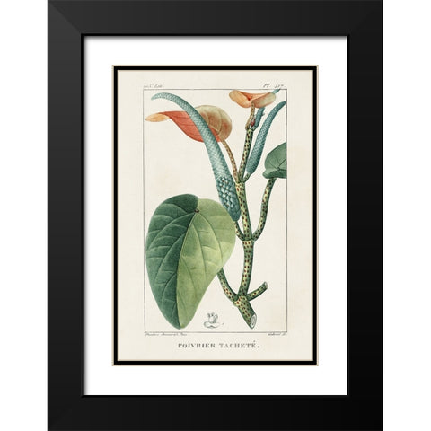 Turpin Tropical Botanicals II Black Modern Wood Framed Art Print with Double Matting by Turpin