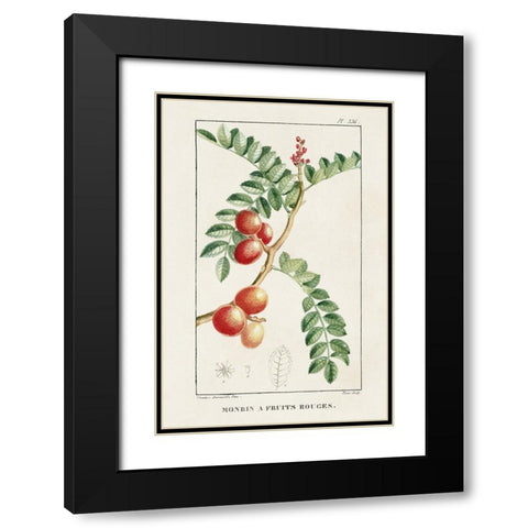 Turpin Tropical Botanicals III Black Modern Wood Framed Art Print with Double Matting by Turpin
