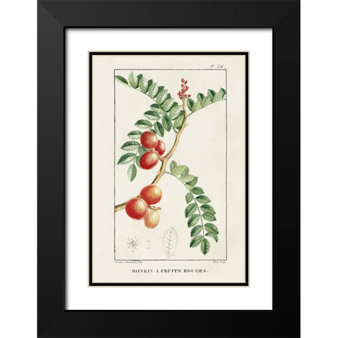 Turpin Tropical Botanicals III Black Modern Wood Framed Art Print with Double Matting by Turpin