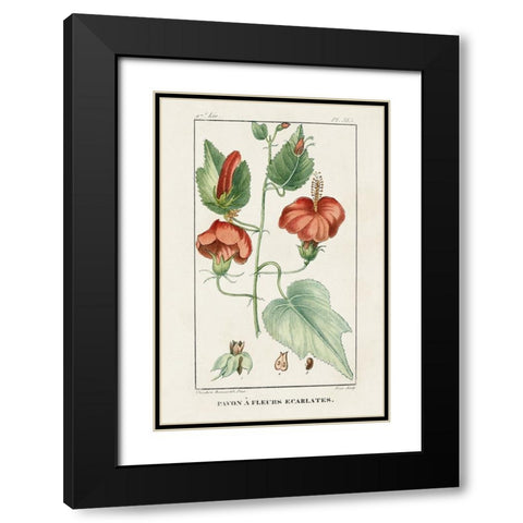 Turpin Tropical Botanicals IV Black Modern Wood Framed Art Print with Double Matting by Turpin