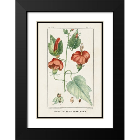 Turpin Tropical Botanicals IV Black Modern Wood Framed Art Print with Double Matting by Turpin