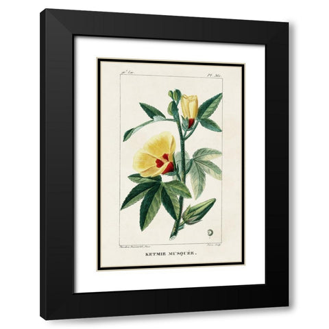 Turpin Tropical Botanicals VI Black Modern Wood Framed Art Print with Double Matting by Turpin