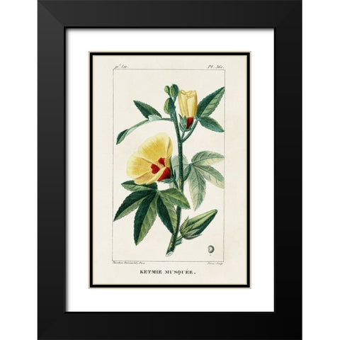 Turpin Tropical Botanicals VI Black Modern Wood Framed Art Print with Double Matting by Turpin