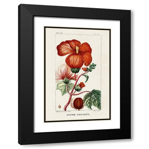 Turpin Tropical Botanicals VII Black Modern Wood Framed Art Print with Double Matting by Turpin