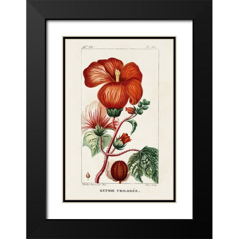 Turpin Tropical Botanicals VII Black Modern Wood Framed Art Print with Double Matting by Turpin