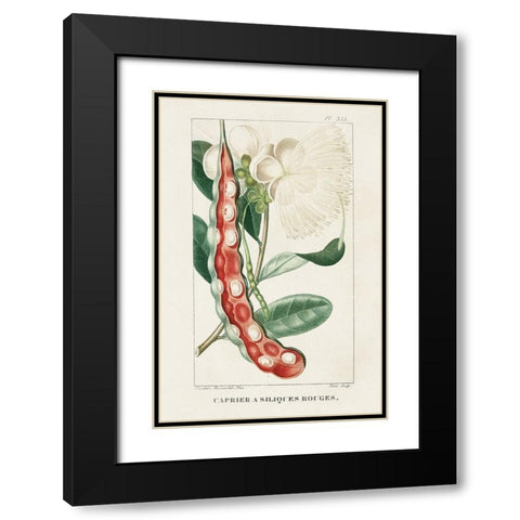 Turpin Tropical Botanicals VIII Black Modern Wood Framed Art Print with Double Matting by Turpin