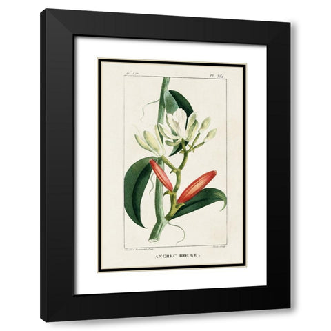 Turpin Tropical Botanicals IX Black Modern Wood Framed Art Print with Double Matting by Turpin