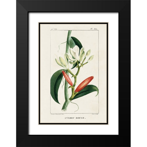 Turpin Tropical Botanicals IX Black Modern Wood Framed Art Print with Double Matting by Turpin