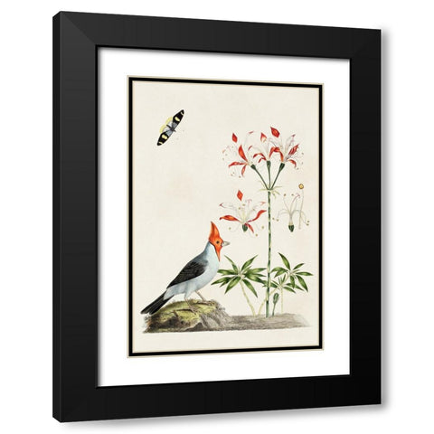 Bird in Habitat I Black Modern Wood Framed Art Print with Double Matting by Unknown