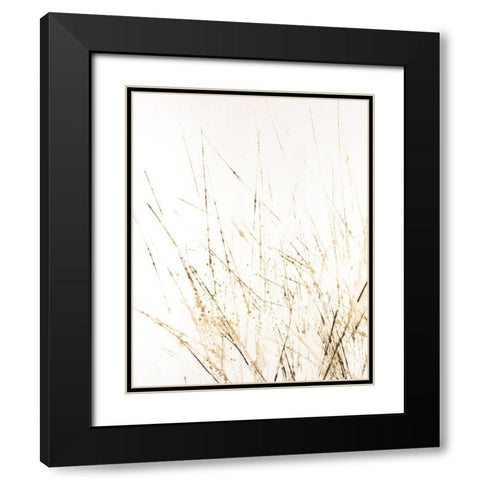 Golden Sea Oats I Black Modern Wood Framed Art Print with Double Matting by Lam, Vanna