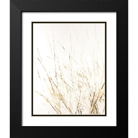 Golden Sea Oats I Black Modern Wood Framed Art Print with Double Matting by Lam, Vanna
