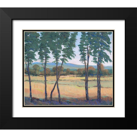 Still Morning I Black Modern Wood Framed Art Print with Double Matting by OToole, Tim