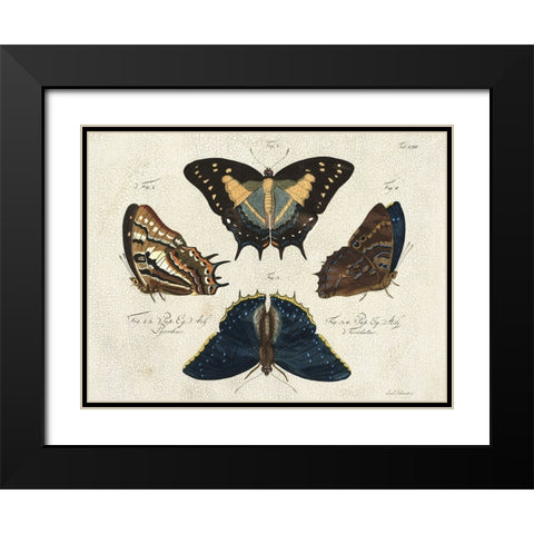 Crackled Butterflies IV Black Modern Wood Framed Art Print with Double Matting by Vision Studio