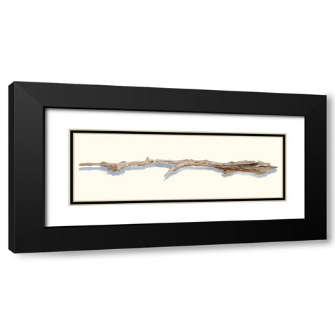 Driftwood Study I Black Modern Wood Framed Art Print with Double Matting by Willett, Michael