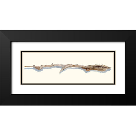 Driftwood Study I Black Modern Wood Framed Art Print with Double Matting by Willett, Michael