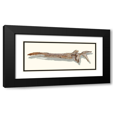 Driftwood Study II Black Modern Wood Framed Art Print with Double Matting by Willett, Michael