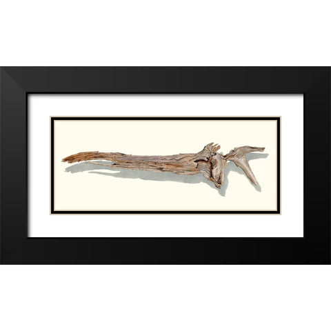 Driftwood Study II Black Modern Wood Framed Art Print with Double Matting by Willett, Michael