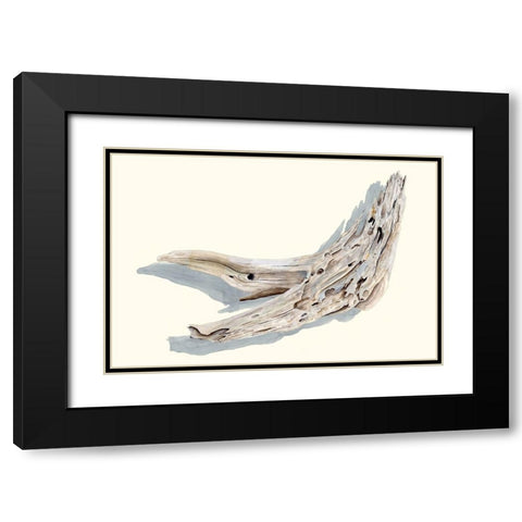 Driftwood Study III Black Modern Wood Framed Art Print with Double Matting by Willett, Michael