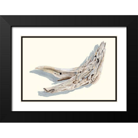 Driftwood Study III Black Modern Wood Framed Art Print with Double Matting by Willett, Michael
