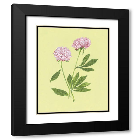 Peonies in Yellow II Black Modern Wood Framed Art Print with Double Matting by Marr, Laura