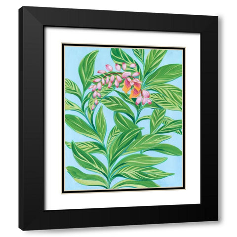 Tropical Shell Ginger I Black Modern Wood Framed Art Print with Double Matting by Marr, Laura