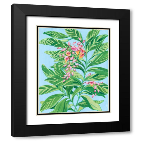 Tropical Shell Ginger II Black Modern Wood Framed Art Print with Double Matting by Marr, Laura