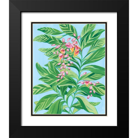 Tropical Shell Ginger II Black Modern Wood Framed Art Print with Double Matting by Marr, Laura