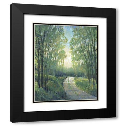 Golden Light Pathways II Black Modern Wood Framed Art Print with Double Matting by OToole, Tim