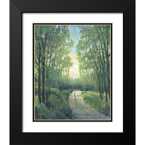 Golden Light Pathways II Black Modern Wood Framed Art Print with Double Matting by OToole, Tim