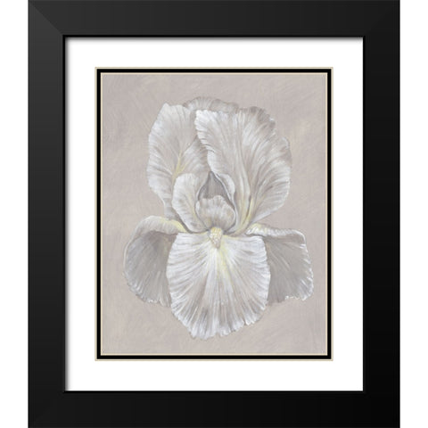 White Iris I Black Modern Wood Framed Art Print with Double Matting by OToole, Tim