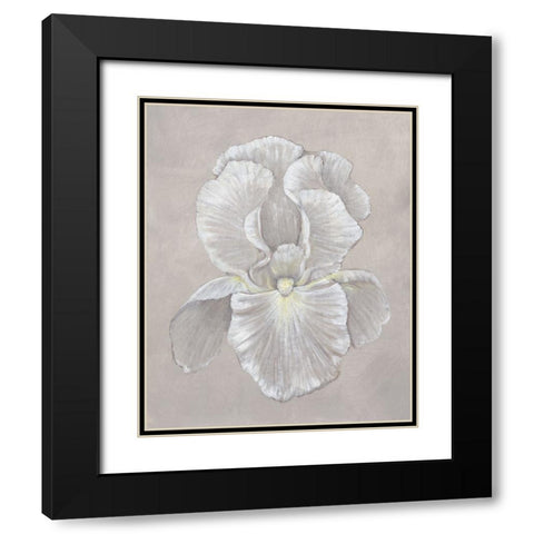White Iris II Black Modern Wood Framed Art Print with Double Matting by OToole, Tim