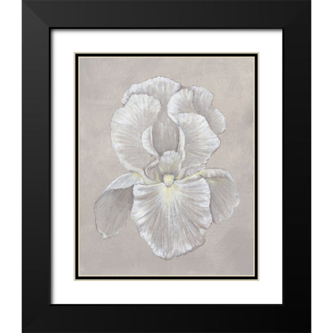 White Iris II Black Modern Wood Framed Art Print with Double Matting by OToole, Tim