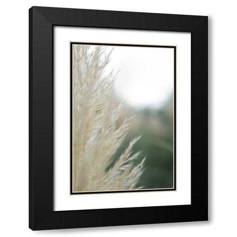 Subtle Grasses I Black Modern Wood Framed Art Print with Double Matting by Johnson, Jason