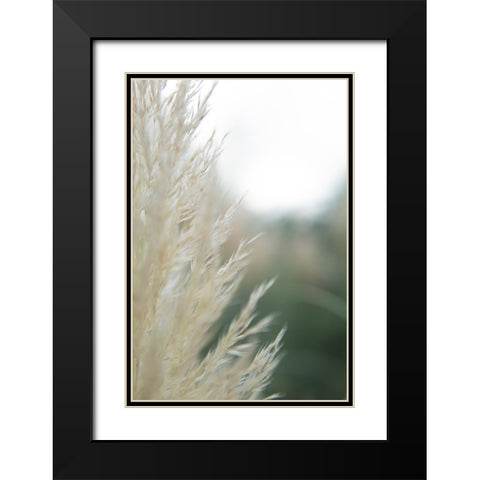 Subtle Grasses I Black Modern Wood Framed Art Print with Double Matting by Johnson, Jason