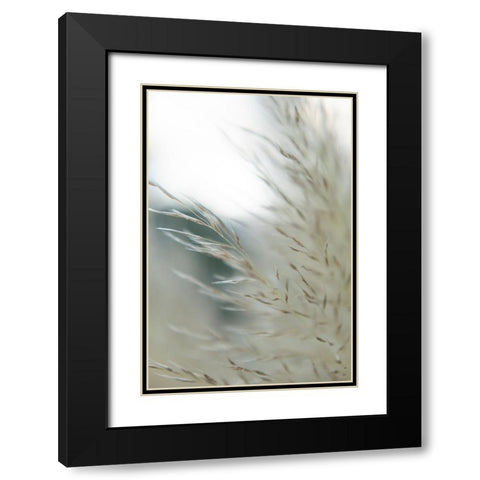 Subtle Grasses II Black Modern Wood Framed Art Print with Double Matting by Johnson, Jason