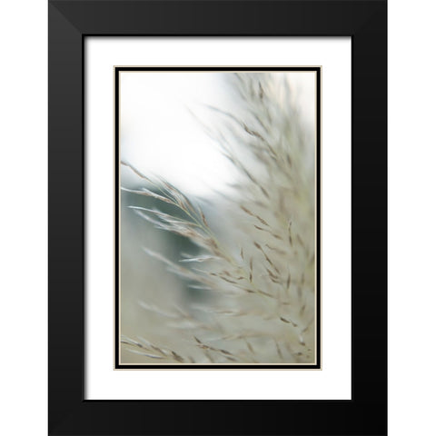 Subtle Grasses II Black Modern Wood Framed Art Print with Double Matting by Johnson, Jason