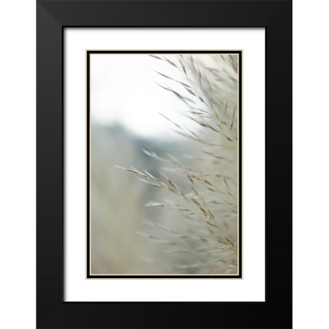 Subtle Grasses III Black Modern Wood Framed Art Print with Double Matting by Johnson, Jason