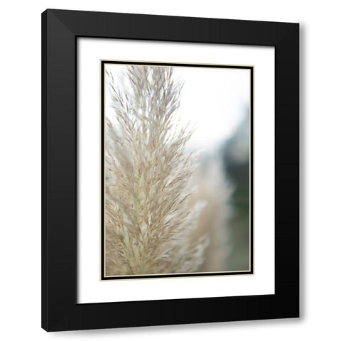 Subtle Grasses IV Black Modern Wood Framed Art Print with Double Matting by Johnson, Jason