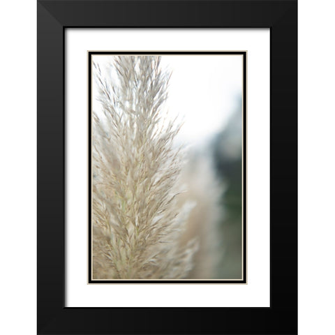 Subtle Grasses IV Black Modern Wood Framed Art Print with Double Matting by Johnson, Jason