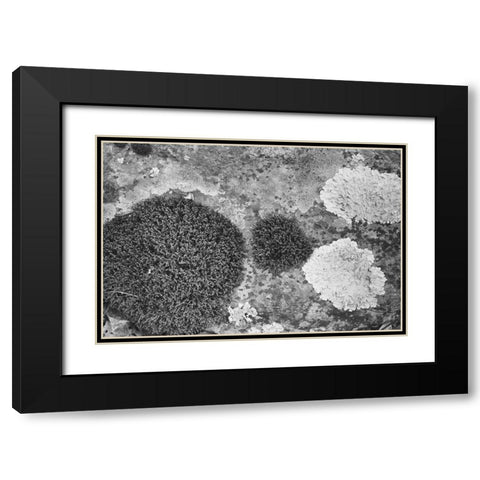 Found Textures XIX Black Modern Wood Framed Art Print with Double Matting by Johnson, Jason