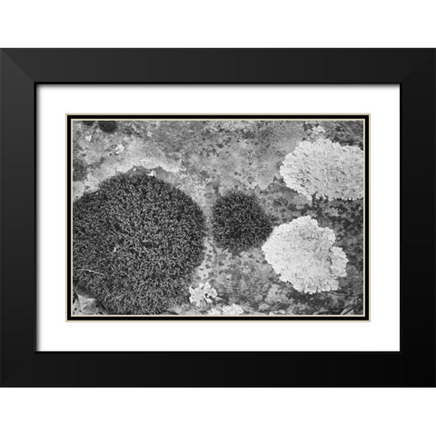 Found Textures XIX Black Modern Wood Framed Art Print with Double Matting by Johnson, Jason