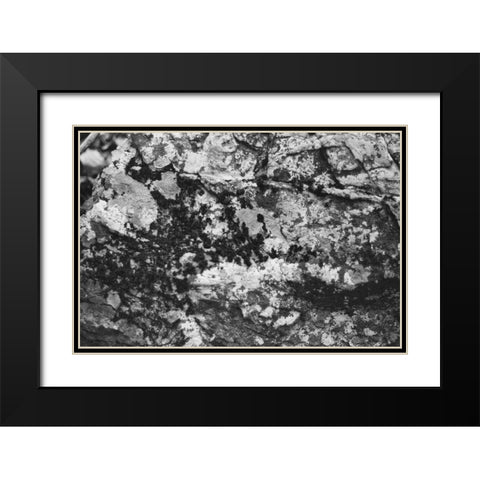 Found Textures XX Black Modern Wood Framed Art Print with Double Matting by Johnson, Jason