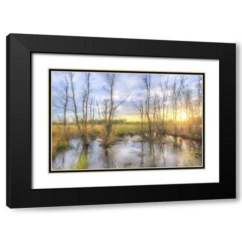 Sunrise Swamp Black Modern Wood Framed Art Print with Double Matting by Curinga, Kim