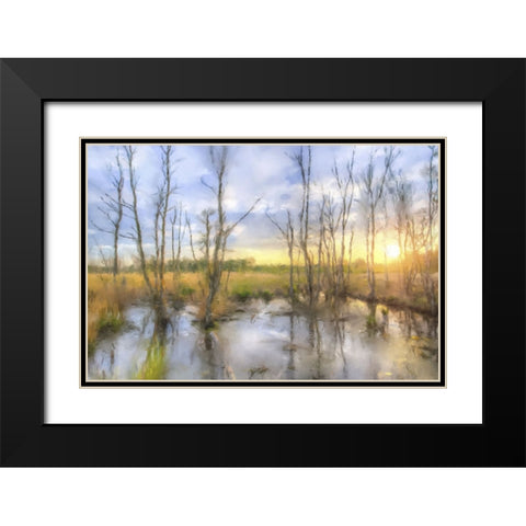Sunrise Swamp Black Modern Wood Framed Art Print with Double Matting by Curinga, Kim