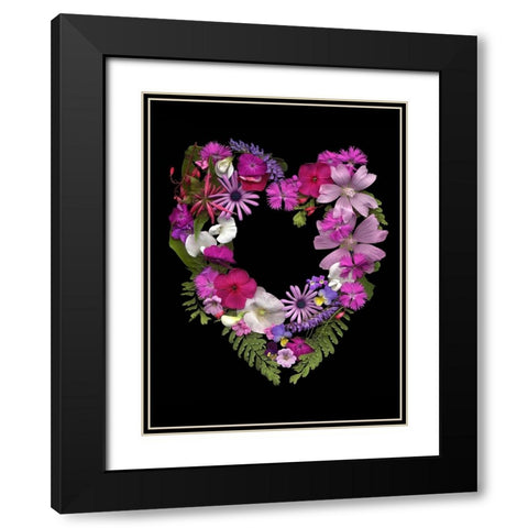 Flower Drama VI Black Modern Wood Framed Art Print with Double Matting by Stalus, Judy